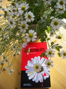 Tischdeko Lesung Biebertal, 30.6.16