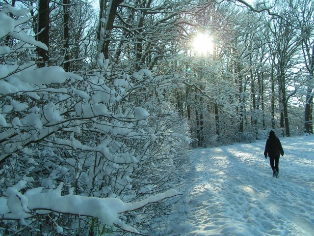 MINOLTA DIGITAL CAMERA